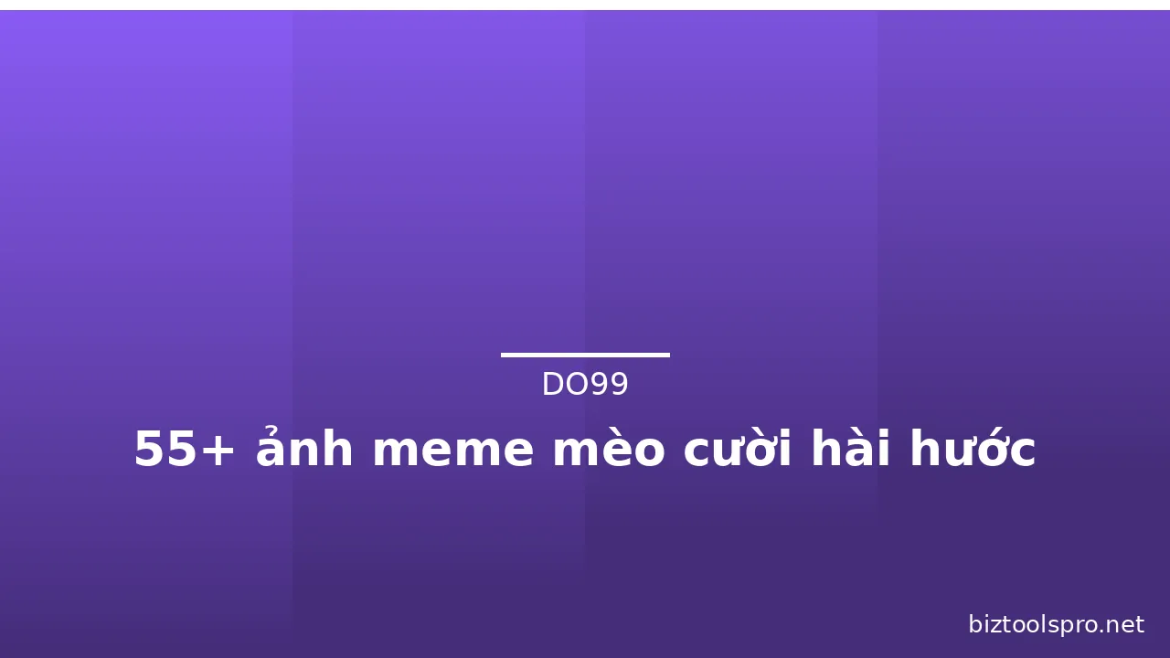 55+ ảnh meme mèo cười hài hước